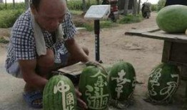 和县网红吃瓜事件真相视频,真相视频曝光背后的故事