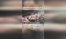 淄博烧烤爆料事件真相最新,揭秘真相与网络舆论的较量