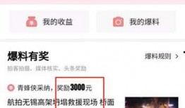 海丰爆料网今日头条最新,揭秘今日热点事件，追踪最新动态