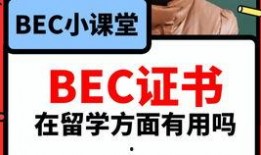 往期吃瓜爆料视频在线观看,往期吃瓜爆料视频大汇总，精彩瞬间尽收眼底