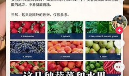 网红吃瓜爆料网页