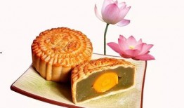 中秋月饼爆料视频下载,视频爆料背后的甜蜜真相