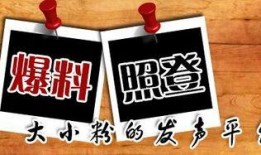 传情最新爆料新闻,最新爆料新闻背后的惊人真相