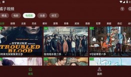 八卦爆料素材下载视频大全,视频大全下载攻略揭秘
