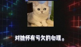 娱乐吃瓜娱乐,吃瓜群众的热门话题大盘点