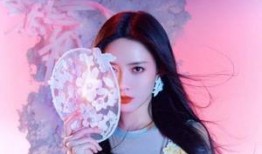 孟子义多人爆料视频大全,爆料视频背后的真实人生