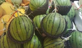 新疆小网红 吃瓜视频,揭秘网络热点背后的故事