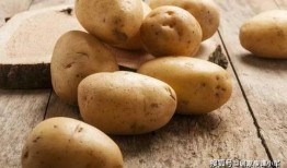 爱如糖土豆在线观看,甜蜜爱情故事在线观看指南