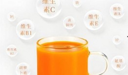沙棘果原浆爆料视频,营养与美味的双重享受