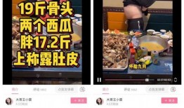 娱乐大爆料封面制作视频
