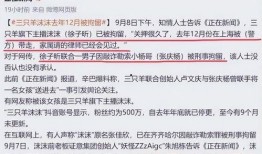 主播爆料卓仕琳是谁啊视频,主播爆料，卓仕琳身份引热议！