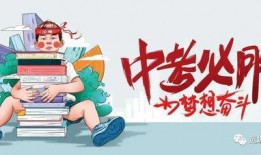 南宁租车爆料事件最新消息,最新进展揭秘，真相大白！