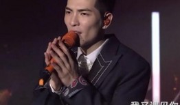 情歌 在线观看,沉浸式音乐之旅，感受爱的旋律