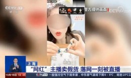 大芝麻爆料铲屎官视频播放,揭秘铲屎官背后的温馨故事