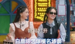 爆料白鹿综艺视频大全