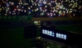 夜店最新爆料文案短句子,揭秘最新爆料背后的真相