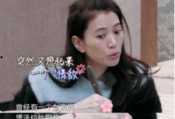 袁咏仪狗仔爆料视频在线观看,揭秘娱乐圈幕后真相