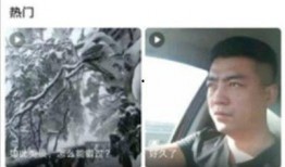 蘑菇爆料在线观看视频,揭秘热门视频背后的精彩故事