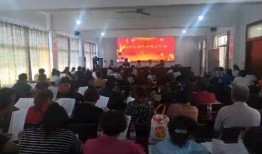 南阳学校爆料新闻事件视频,揭秘校园内幕引发社会关注