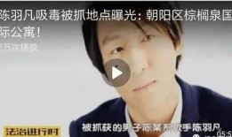 林熙爆料陈羽凡视频大全,揭秘娱乐圈不为人知的一面