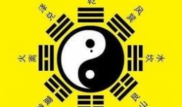 八卦爆料素材下载视频大全,视频大全下载攻略揭秘