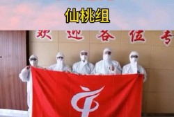 仙桃最新爆料新闻视频,视频揭露惊人内幕，事件真相令人震惊！