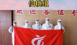 仙桃最新爆料新闻视频,视频揭露惊人内幕，事件真相令人震惊！