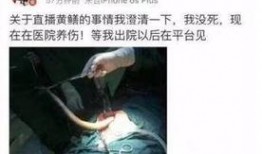 黄鳝门后续在线观看