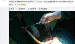 黄鳝门后续在线观看