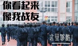 爆料新乡学院事件真相视频,真相视频曝光背后的真相