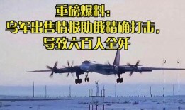 乌克兰内部爆料新闻,揭秘政坛黑幕与权力斗争