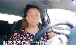 流浪阿姨爆料视频大全,揭开社会现象背后的真相