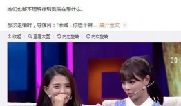 沈梦辰爆料黄新淳视频播放,沈梦辰揭露黄新淳视频播放背后的真相