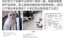 大芝麻爆料铲屎官视频播放,揭秘铲屎官背后的温馨故事