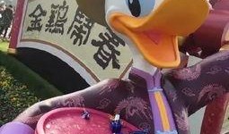 娱乐圈爆料唐老鸭,唐老鸭的幕后故事
