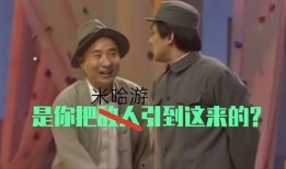 宵宫爆料视频,揭秘神秘事件背后的真相