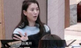 好友爆料袁咏仪视频播放,好友爆料引发热议