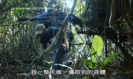 思春森林在线观看,青春校园的浪漫邂逅