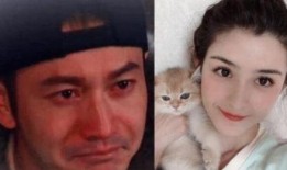 杨颖不雅视频在线观看,真相与争议