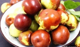 冬枣储存爆料方法视频