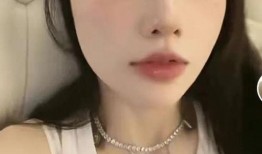 李小璐网友爆料事件视频,网友热议真相与争议