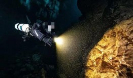 潜水博主视频爆料,博主亲历水下奇观