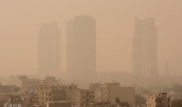 印度新德里最新爆料,揭秘神秘事件背后的真相！”