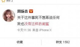 近期的爆料新闻报道有哪些,新闻背后的真相与争议