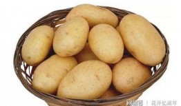 爱如糖土豆在线观看,甜蜜爱情故事在线观看指南