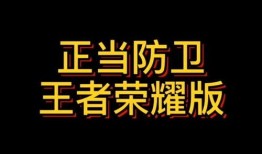 正当防卫爆料案例视频播放,视频揭露惊人真相，正义得以伸张