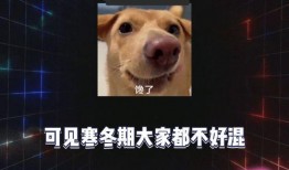 娱乐八卦爆料吃瓜,明星幕后故事大曝光！