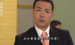 法网危情在线观看,揭秘网络世界的暗流涌动