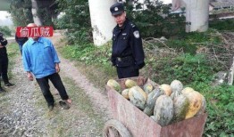 和县网红吃瓜事件真相视频,真相视频曝光背后的故事