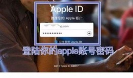 国际服地铁玩法爆料视频,独家爆料视频深度解析